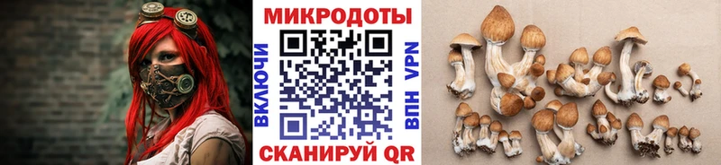 darknet официальный сайт Аргун Галлюциногенные грибы ЛСД