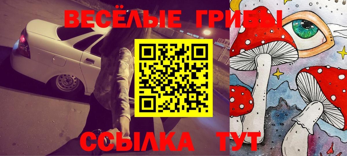 Псилоцибиновые грибы Psilocybe Аргун