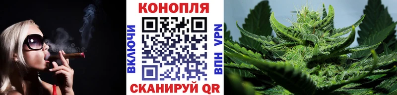 Марихуана планчик  площадка состав  Аргун 