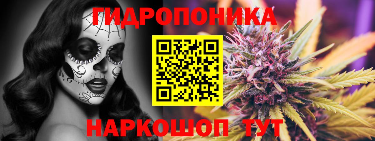 Бошки Шишки ГИДРОПОН Аргун
